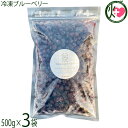 堀うち農園 冷凍ブルーベリー500g×3袋 無農薬栽培