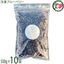 堀うち農園 冷凍ブルーベリー500g×10袋 無農薬栽培