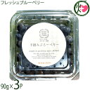 堀うち農園 フレッシュブルーベリー90g×3P 特別栽培