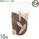 カヨコーポレーション 塩彩 ピパーツ塩 袋 100g×10P