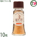 カヨコーポレーション 塩彩 ウコン塩 卓上瓶 20g×10瓶