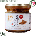 GENESIS FOOD 沖縄旨辛たべるウコン 60g×9瓶