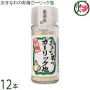 島酒家 おきなわのガーリック塩 23g×12本 沖縄 にんにく 塩 無添加
