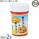 比嘉製茶 春ウコン+紫ウコン粉末 100g×2個 沖縄