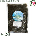 つけん島モズク事業協同組合 沖縄つけん島産 塩もずく 1kg×3袋 沖縄 海藻 フコイダン豊富