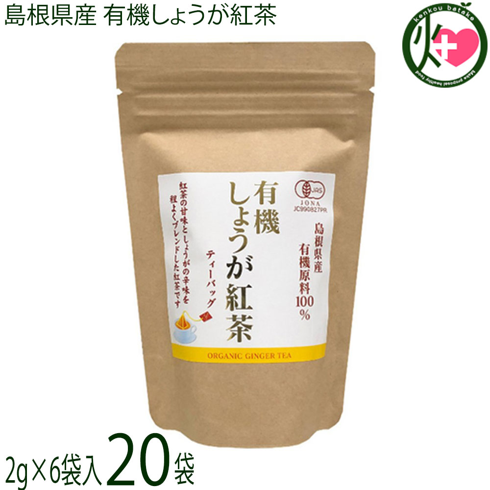 楽天けんこう畑茶三代一 島根県産 有機しょうが紅茶 ティーバッグ（2g×6袋入）×20袋