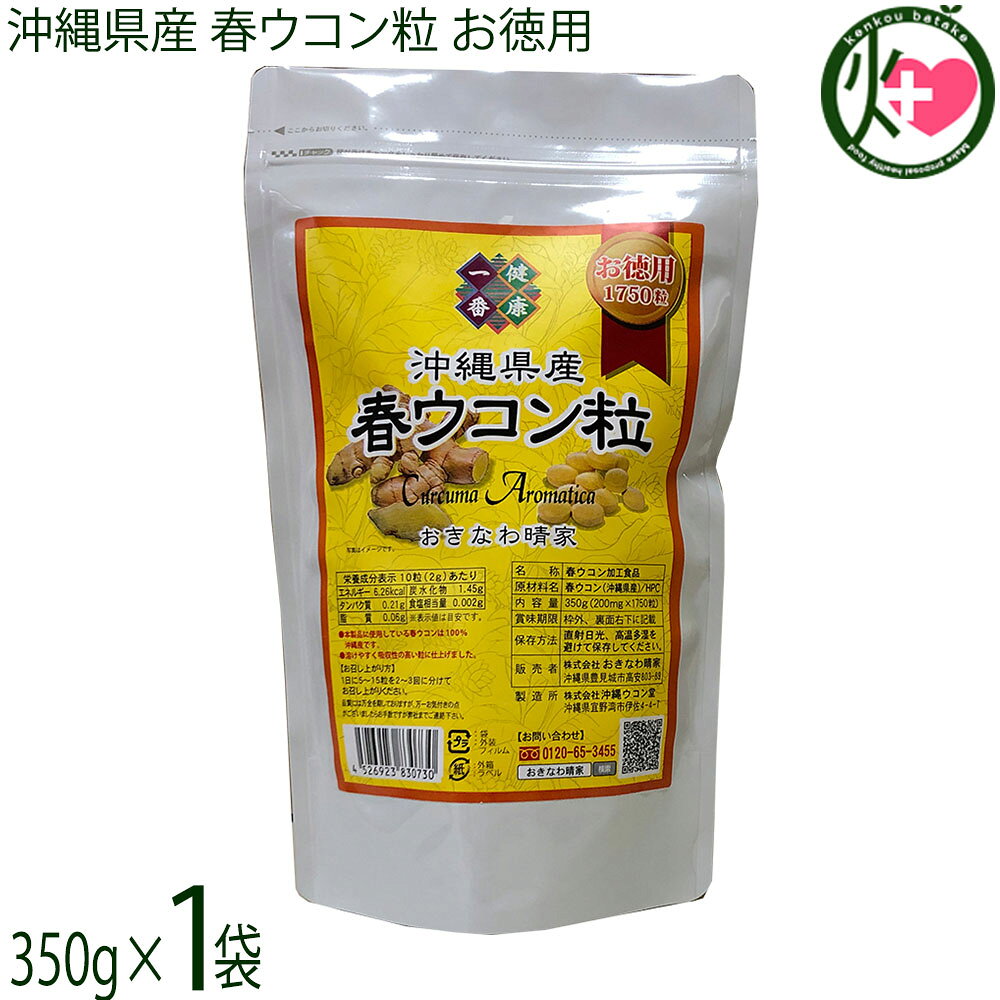 おきなわ晴家 沖縄産春ウコン粒 (お徳用) 350g(200mg×1750粒)×1袋 沖縄 うこん 鬱金