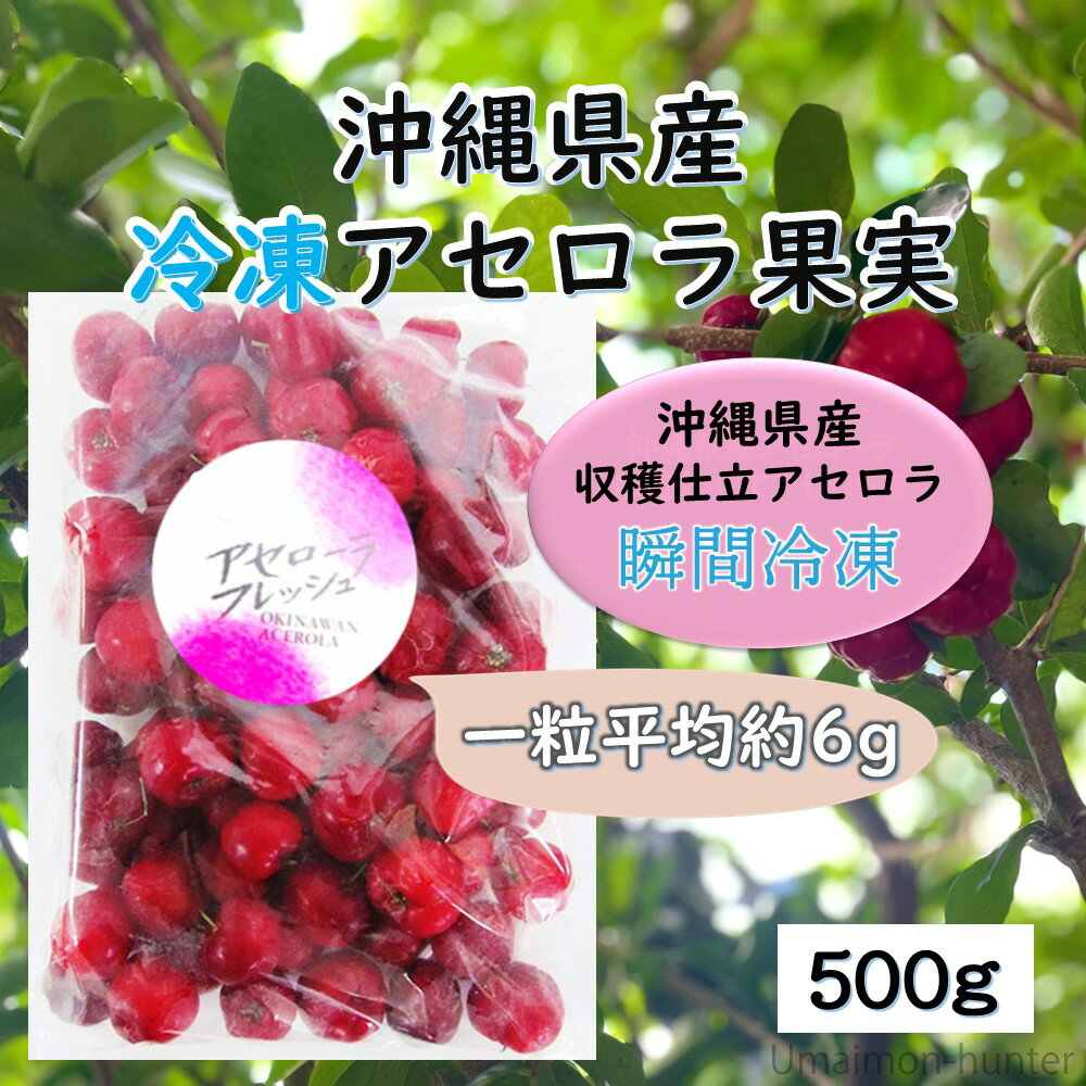 冷凍アセロラ果実 500g×1P アセローラフレッシュ ビタミンC含有量レモンの約34倍 南国フルーツ 沖縄県産 2