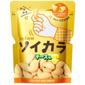 ソイカラ チーズ味 27g3980円(税込)以上で送料無料