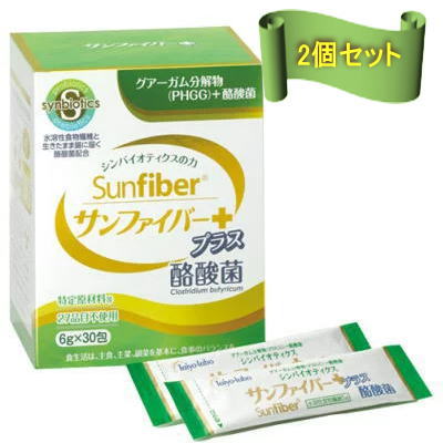 タイヨーラボ　サンファイバー＋酪酸菌　スティック　6g×30包×2個セット　腸活　送料無料