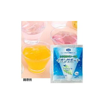 ヘルシーフード　イオンサポート　フルーツシリーズ　マスカット味　75g　【栄養】