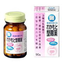 在庫限り　2024.12月末期限　わかもと整腸薬 90錠3980円(税込)以上で送料無料