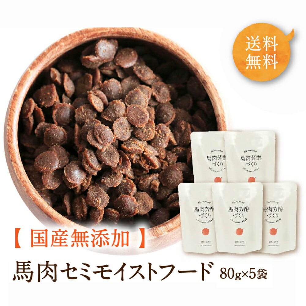 健康いぬ生活馬肉芳醇づくり犬無添加国産80g×5袋セミモイストシニアレトルト個包装犬おやつペットフー