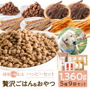 福袋 ドッグフード 馬肉 国産 無添加 ハッピーセットB( 贅沢ごはん & おやつ詰合せ ) 犬 ペット ペットフード 成犬 フード 1kg ミンチ 80g ヘ...