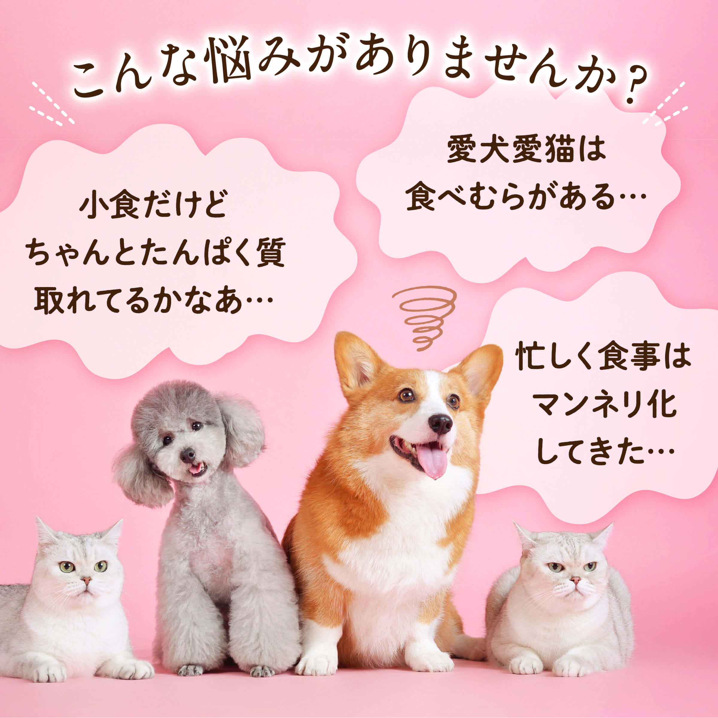 健康いぬ生活 馬肉 ヘルシーふりかけ 犬 無添加 国産 トッピング 50g×3袋 食いつき 栄養 フリカケ ドックフード オヤツ 大型犬 柴犬 中型犬 小型犬 犬 おやつ ペットフード 偏食 犬 手づくり 手作り ごはん ご飯 食欲 猫 3