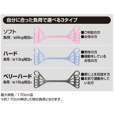 レッグストレッチチューブ アルファックス フット チューブ レッグ 足 指 下半身 つかみ タオル ゴム ストレッチ 運動 トレーニング 筋トレ ガイド ブック DVD【 ネコポス 送料無料 】
