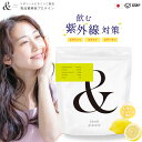 【新商品】飲む紫外線対策【8月末までP20倍】リポソームビタミンビタミンC配合 andプロテイン and protein 【GMP認定国内工場製造】 美容プロテイン コラーゲンペプチド11,270mg ビタミンC500mg セラミド リポソームビタミンC (レモン味)日本製 190g(約15杯分)