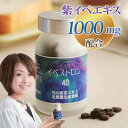 イペストロン40/5個セット