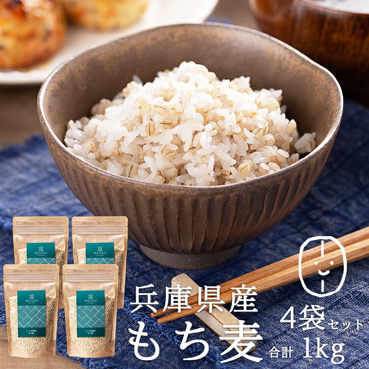 もち麦 国産 (兵庫県産100%) 1kg(250g×4袋) 【もち麦 送料無料 】もち麦 もちむぎ 国産 送料無料 もっちもちで美味しい！ 低GI食品［GI値:50］もち麦ご飯 国産 水溶性食物繊維 βグルカン ダイエット 雑穀 保存に便利なチャック付 ヤエガキ ヤヱガキ