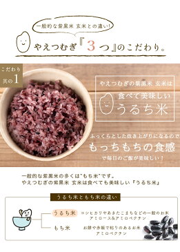 2020年産 黒米 紫黒米 玄米 丁寧に選別 粒ぞろい 200g×2(400g) 送料無料 兵庫県産 雑穀 紫黒米 玄米 黒米 国産 雑穀 アントシアニン ポリフェノール ヤエガキ ヤヱガキ