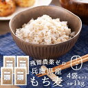 もち麦 国産(兵庫県産100%) 1kg(250g×4袋) 【もち麦 送料無料 】もち麦 国産 送料無料 もっちもちで美味しい！ 低GI食品［GI値:50］もち麦ご飯 国産 水溶性食物繊維 βグルカン ダイエット 雑穀 保存に便利なチャック付