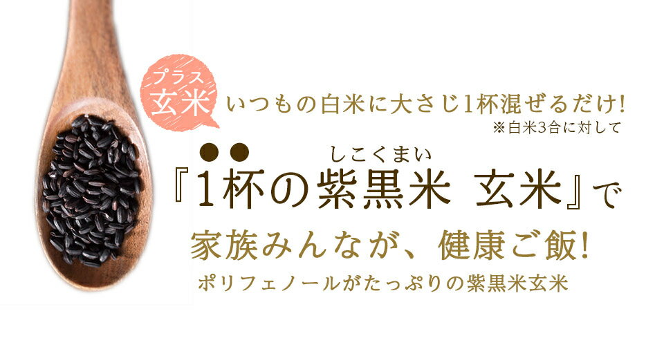 令和元年産 黒米 紫黒米 玄米 200g×2(400g) 送料無料 兵庫県産雑穀 紫黒米 玄米 黒米 国産 雑穀 アントシアニン