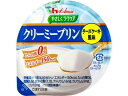 やさしくラクケア クリーミープリン たんぱく質0g チーズケーキ風味 63g 熱中症対策 熱中症予防