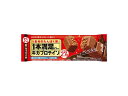 1本満足バー ギガプロテインチョコ 1本×9本セット