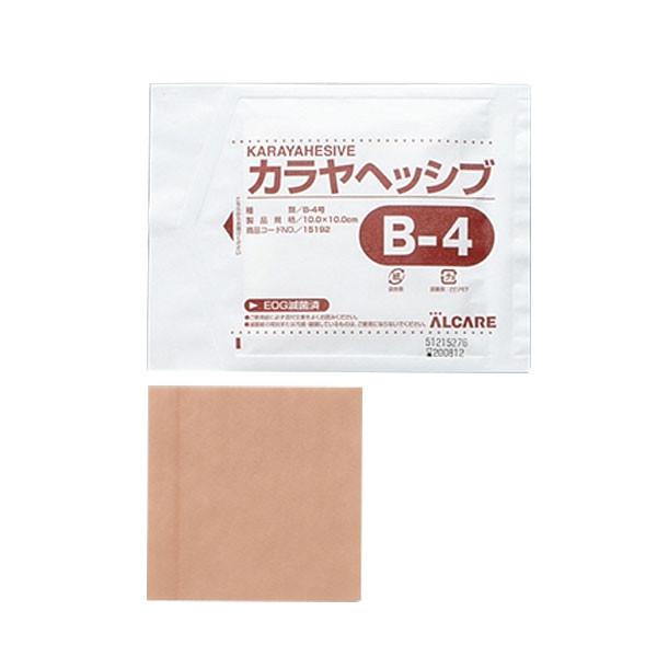 カラヤヘッシブ・ブラインドタイプ　B−4号　15192　10枚