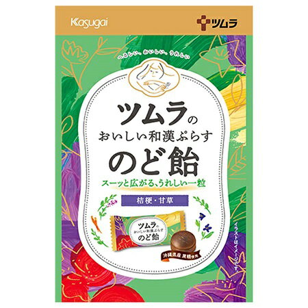 ツムラのおいしい和漢ぷらすのど飴　49g