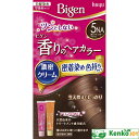 ビゲン 香りのヘアカラークリーム 5NA 深いナチュラリーブラウン 40g+40g