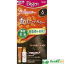 ビゲン 香りのヘアカラー乳液 6 ダークブラウン 40g+60ml