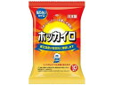 ホッカイロ 貼らない レギュラー 10個