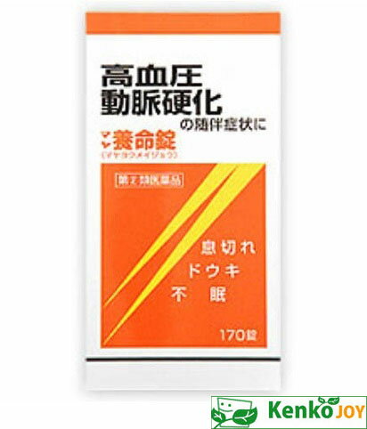 【指定第2類医薬品】マヤ養命錠 170錠