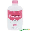 【第3類医薬品】ウエルセプト ポンプ付 500ml