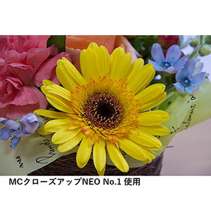 【★当選確率1/2！最大100%Pバック(上限あり・要エントリー)】【即配】55mm MCクロ...