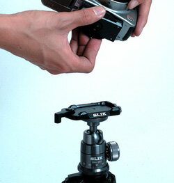 ��¨�ۡ� SLIK ����å� ���� �ޥ��ͥ����å����塼DQ-L���塼 BK