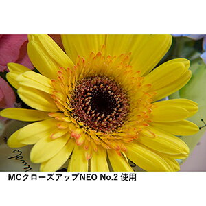 【即配】72mm MCクローズアップ NEO No.2 ケンコートキナー KENKO TOKINA 【ネコポス便送料無料】花や小物の接写に最適 3