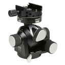 (受注生産) (KP) ARCA-SWISS アルカスイス D4 ギアヘッド クィック ※受注生産※【送料無料】 ※詳しい納期につきましてはお問い合わせ下さい