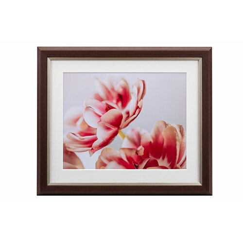 【即配】UVカットアクリル額縁 グレイスメロウMiu（ミウ） 六切 ブラウン JGM-6-BR ケンコー KENKO フ..