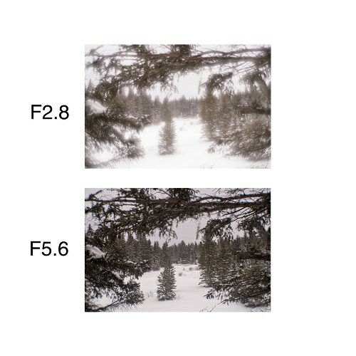 送料無料(沖縄、離島を除く) キヤノン EM-E2 【その他カメラ関連製品】