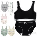 2点セット パンツ リブ ガールズ レディース ジュニアブラ ジュニア下着セット ショーツ パッド付き 無地 シンプル 柔らかい 可愛い セット ブラ 肌着
