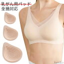 パット 乳癌 全摘 左右 人工乳房 大きいサイズ 小さいサイズ 乳がん パット 全摘術専用 手術 後 下着 術 後 下着 痛み 術後 術部が落ち着いた方 ノンワ...