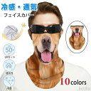 【送料無料】ィース 紫外線対策 息苦しくない 涼しい日焼け予防 アウトドア コスプレ仮装 旅行 ゴルフ 釣り 自転車 通勤 アウトドアスポーツ用 フェイスカバー...