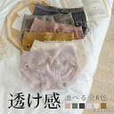 【送料無料】レディース 下着 パンツ スタンダード パンティ 大人 可愛い セクシー ストレッチ レースパンツ レースパンティ 伸縮性 通気性 女性用