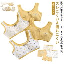 ブラジャー4枚&ショーツ4枚セット!上下セット ジュニア 下着 スポーツブラ ジュニアブラ セットアップ 綿 コットン ショーツ 女の子 パンツ 肌着 ブラトッ...