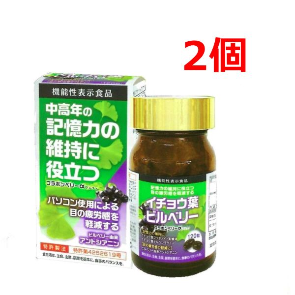 フラボンベリーα 120粒 2個 アスタキサンチン イチョウ葉エキス EPA オメガ3脂肪酸 機能性表示食品 DHA ビルベリー