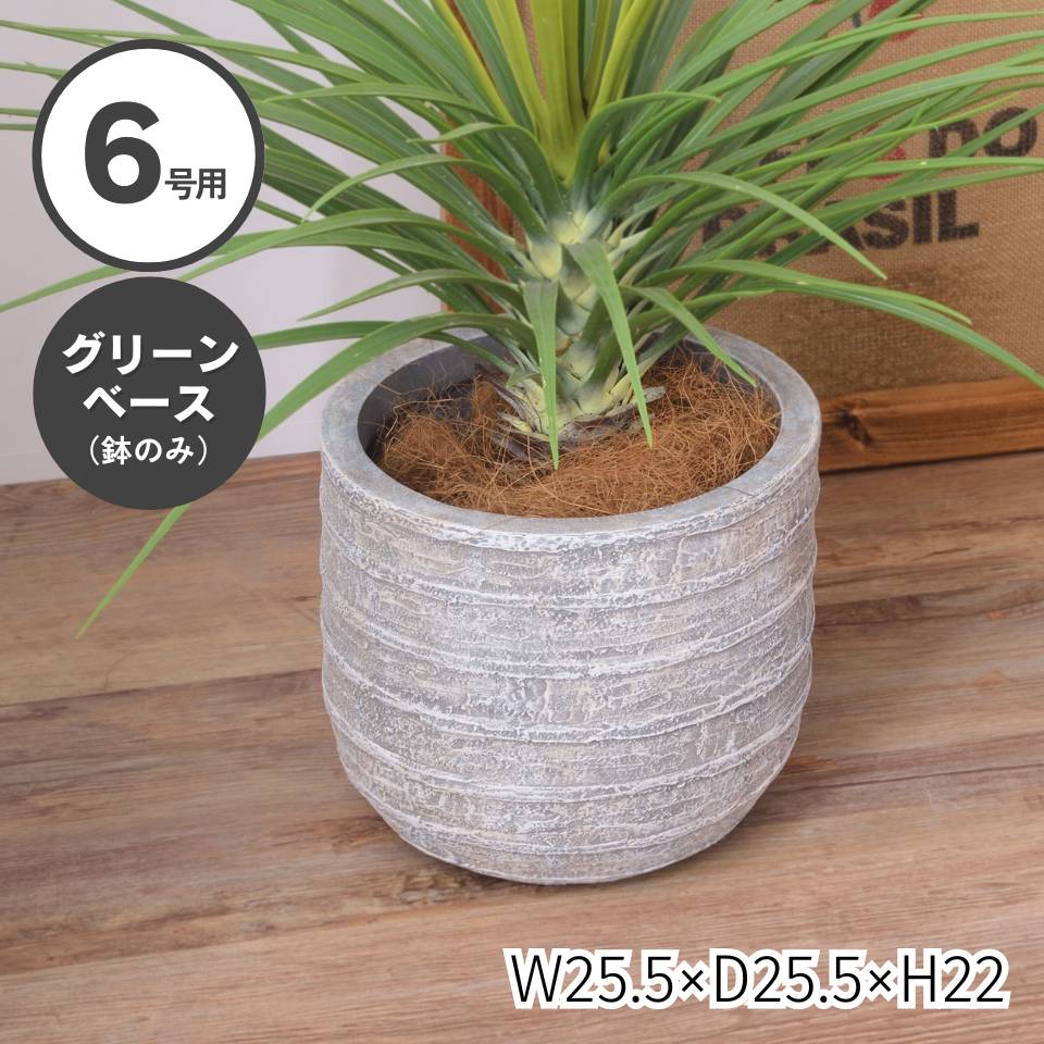 グリーンベース 6号用 ベース 入れ物 観葉植物入れ 飾り インテリア インテリア雑貨 室内 おしゃれ ダークグレー 酸化マグネシウム ライトファニチャー