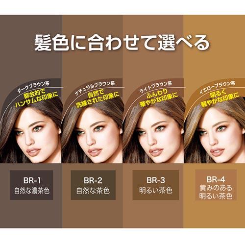 楽天市場 メイベリン ファッションブロウ スリム ソフト Br 1 自然な濃茶色 アイブロウ 1本入 メイベリン ケンコーコム