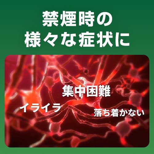 ����(2)������ʡۥ˥���å� ������ߥ��(96����(����ե�ǥ���������������о�))�ڥ˥���åȡ�[�ر������ �˥����󥬥� �ر���Υ��饤�顦���溤��]